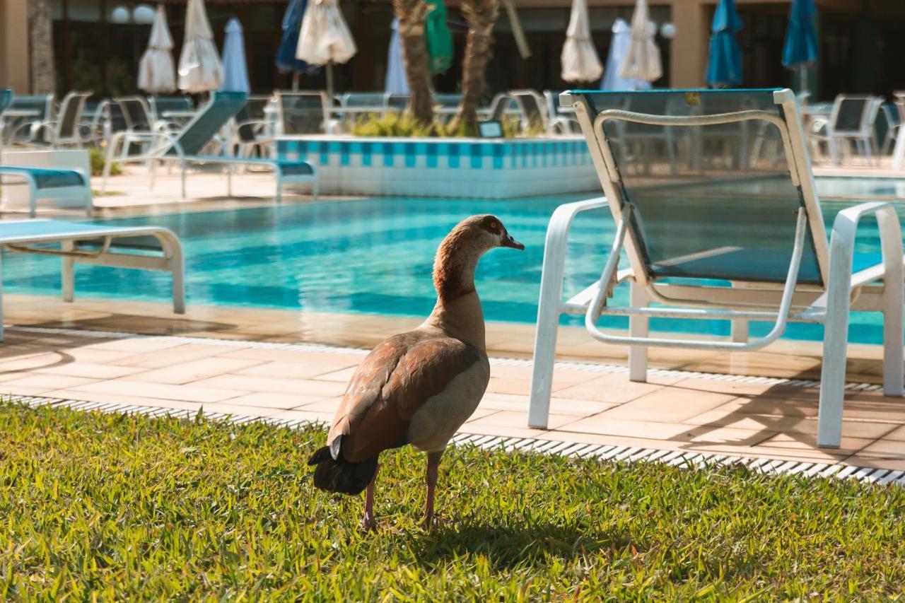 Villa Itaipava Resort & Conventions Ngoại thất bức ảnh